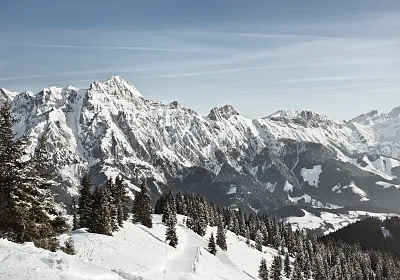 steinberge_c_julian_mullan.jpg